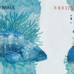 nota 100reais_back